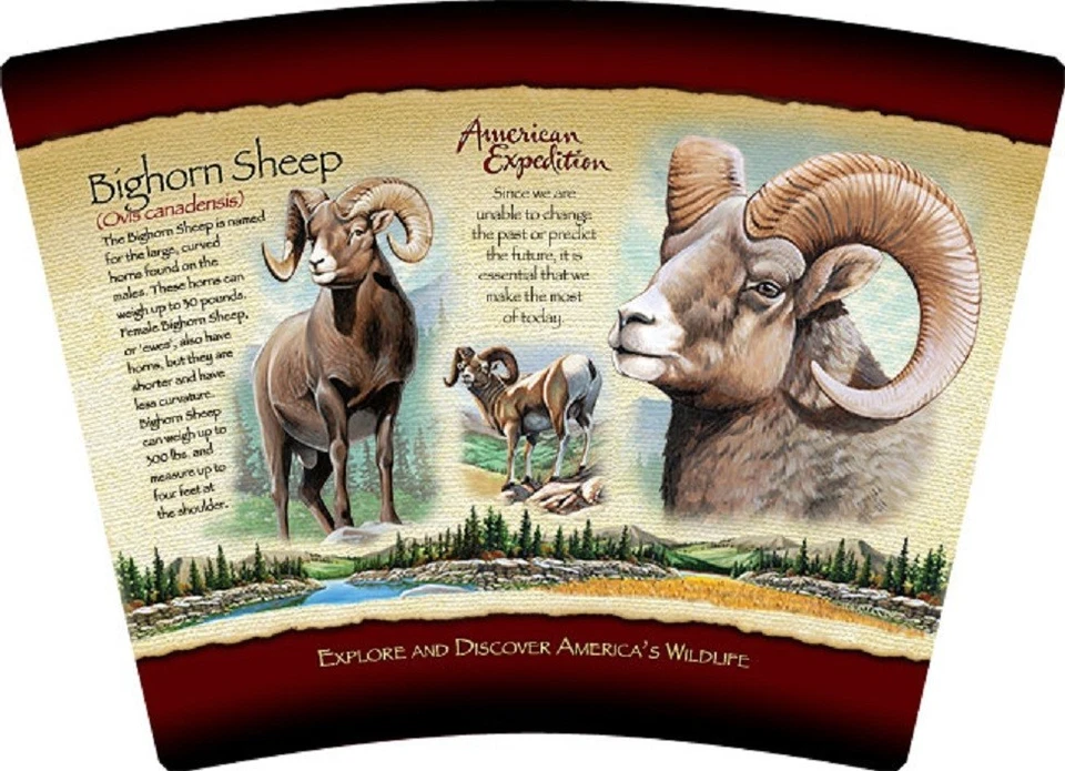 BIGHORN SHEEP--24 oz. Vaso de acrílico aislado de doble pared--American Expedition Foto 2 de 4