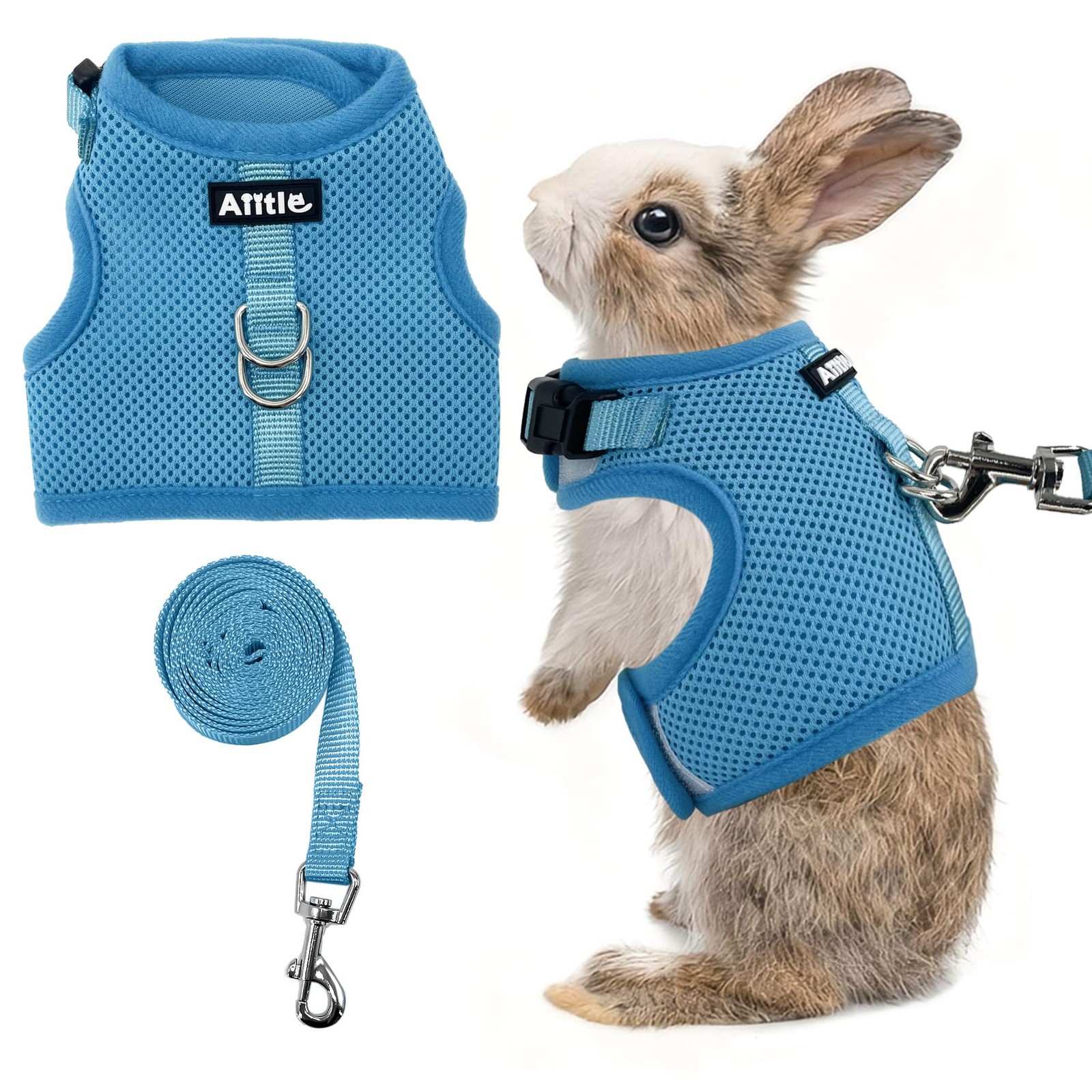 Harnais de dressage anti-échappement pour furet avec laisse