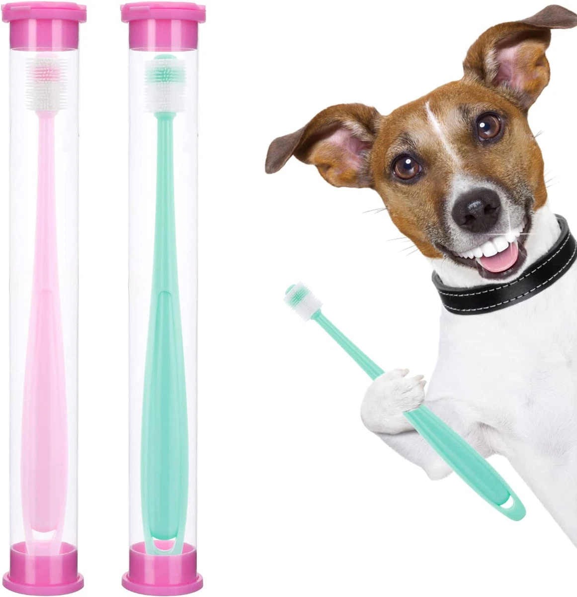 Dog top toothbrush set
