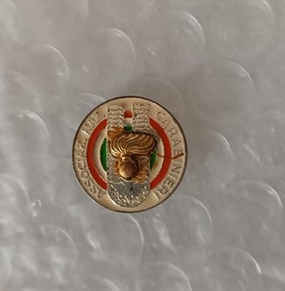 Pins Associazione Nazionale Carabinieri