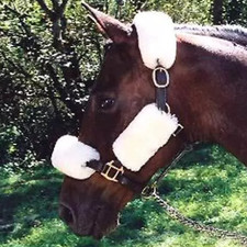 HALTER / BRIDLE Real Merino Sheepskin Covers /SHIPPING SETS