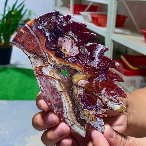 147+147G Natural crazy agate hand carved butterfly wing specimen - Picture 16 of 22