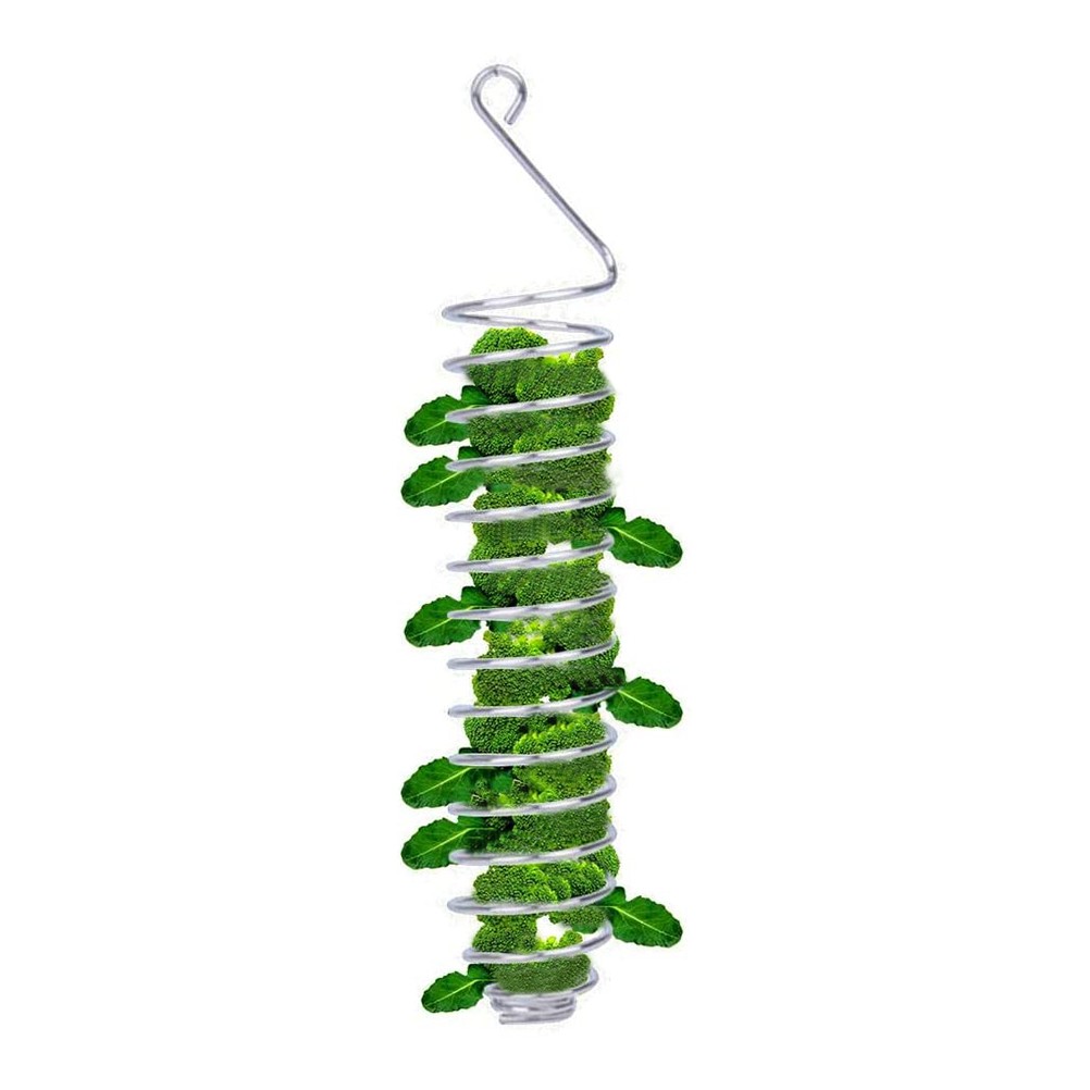 Stainless Steel Bird Fruit Vegetable Holder Bird Food Basket Skewers For Parrots