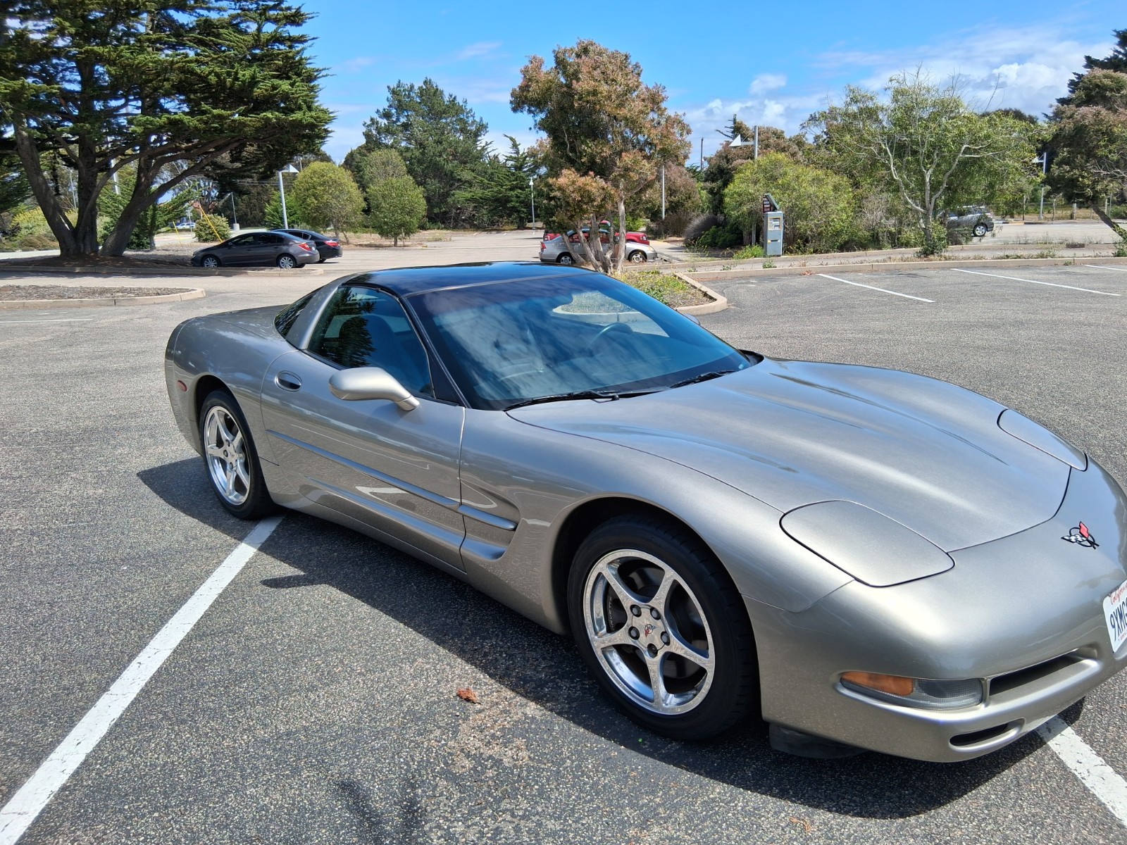 2000  Chevrolet Corvette   | C5 Corvette Photo 2