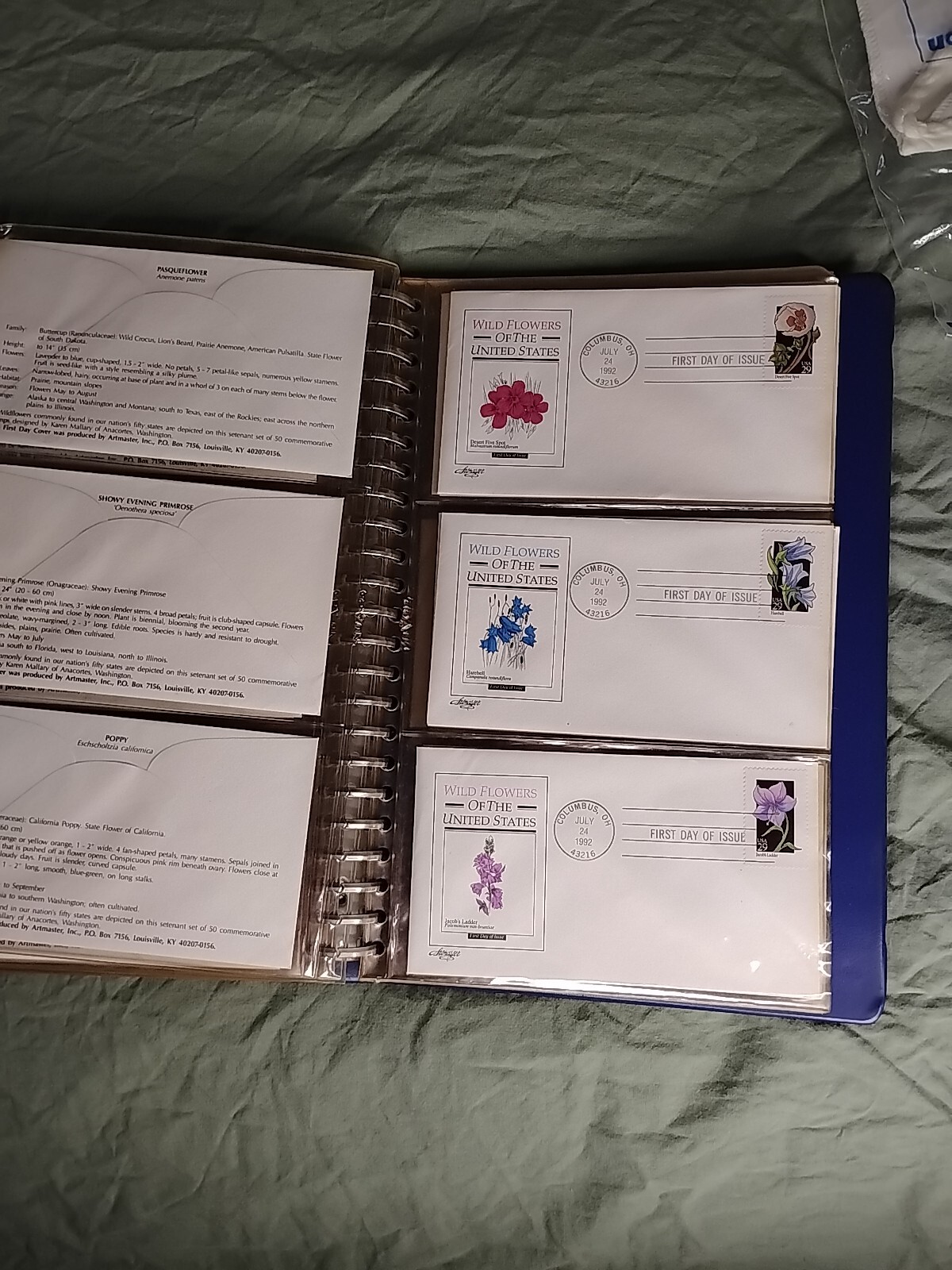 Picture 3 of 5