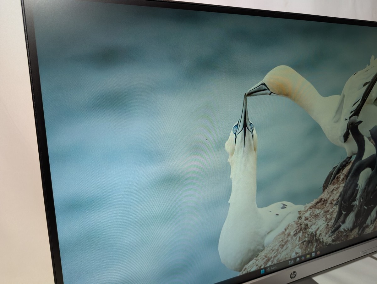 HP 27q 27 Inch 1440 QHD Monitor 3FV90AA | eBay UK