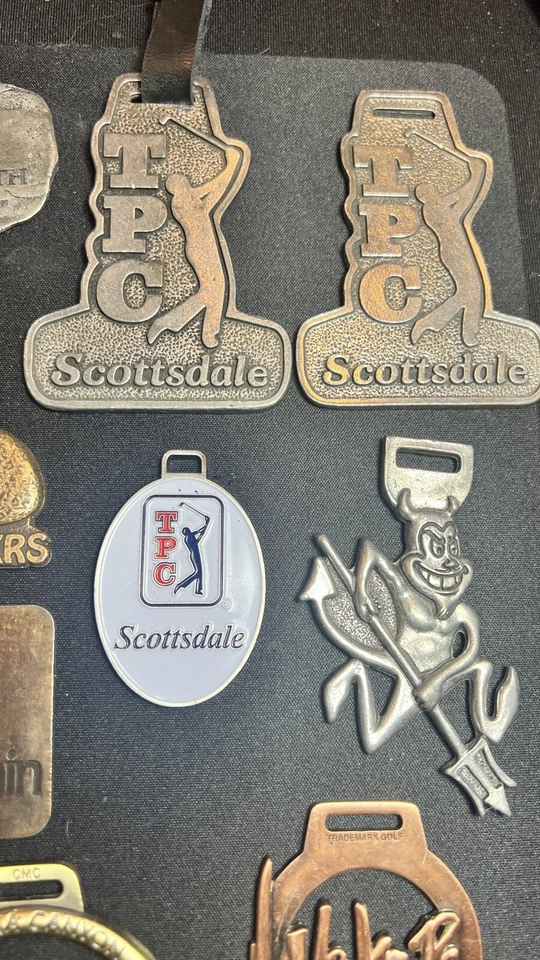 Bolsa de golf vintage colección de etiquetas 30 etiquetas 12 herramientas Divot. Los mejores cursos de Arizona. - Imagen 2 de 4