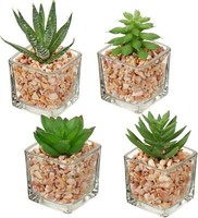4Er-Set KüNstliche Sukkulenten Deko Pflanze Glastopf Wohnzimmer