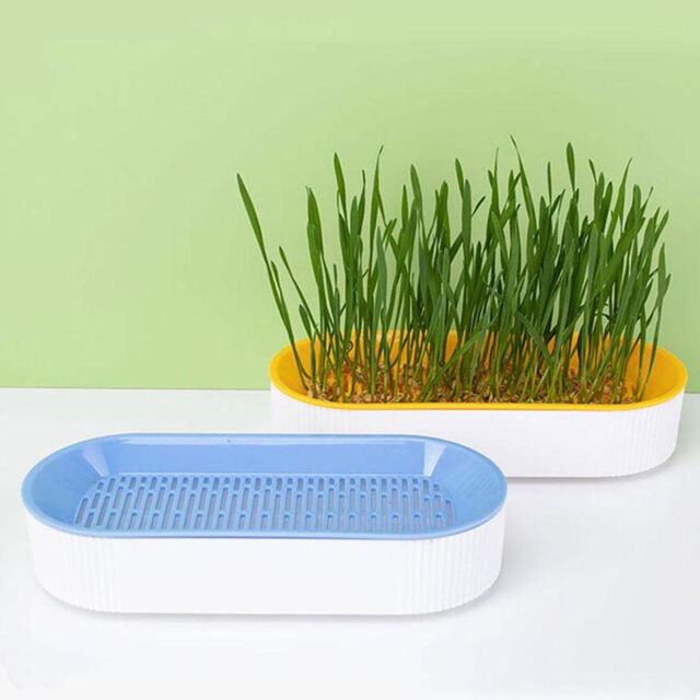 Cat Grass Planting Box Plant Growing Kit Hydroponic Cat Grass Soil-Free Planter Cat Grass Planting Box Plant Growing Kit Hydroponic Cat Grass Soil-Free Planter