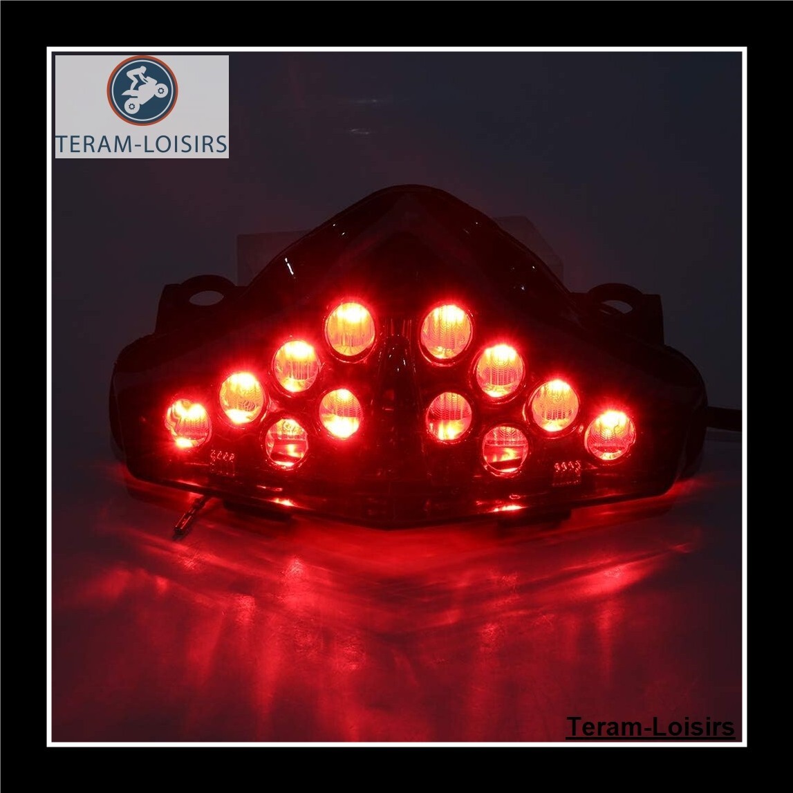 Feux Clignotants LED Intégrés Pour Kawasaki ER6/ER6N/F (2012-2016) - Version Fumée, Sans Marque
