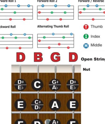 Left Handed 5 String Banjo Chord Fretboard Wall Chart Poster