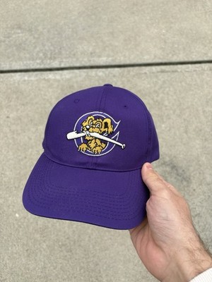Vtg 90s Charleston Riverdogs Minor League Baseball SnapBack Hat SAMPLE RARE