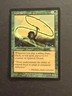 Quirion Dryad Planeshift NM-/LP MTG Magic the Gathering d