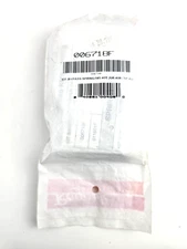 Raypak Bypass Spring Ctherm RP2100 Plastic 006718F