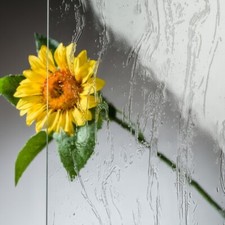 Ersatzglas für Grablaterne Grablicht Friedhofslampe Zuschnitt auf Maß ECHTGLAS