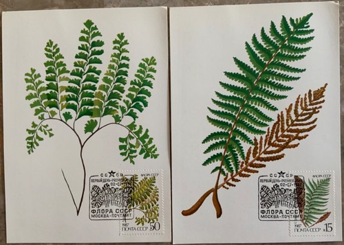 Russia USSR 1987, Sc# 5572-5576 flowering ferns Maximum cards - Picture 3 of 4