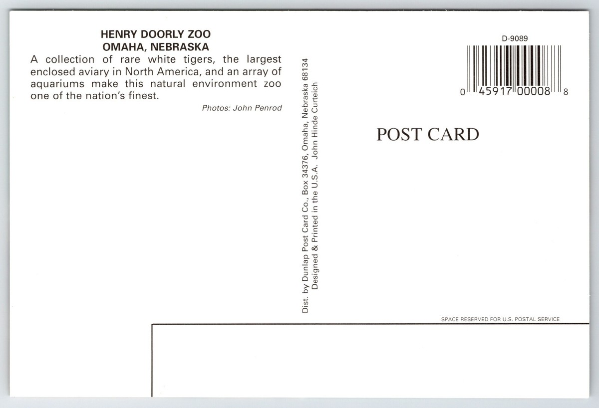 Postcard Polar Bear Henry Doorly Zoo Omaha Nebraska Ursus