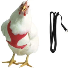 Original Valhoma Chicken Red Harness with Black 4-Feet Leash Combo MD