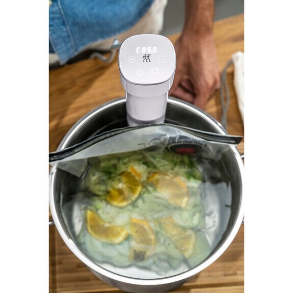 Zwilling Enfinigy Sous Vide White Stick | eBay