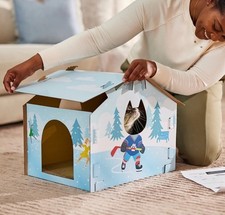 Frisco Sports d'hiver patinoire en carton maison pour chat avec herbe à chat