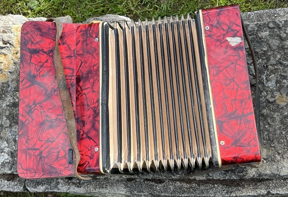 Accordeon Hohner Mignon 1960 - Photo 4/4