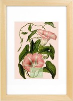 Goldbuch Bilderrahmen Rustiq 20X30 Cm Natur Mit Passepartout 15X20 Cm