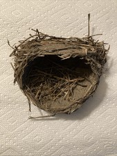 Bird nest