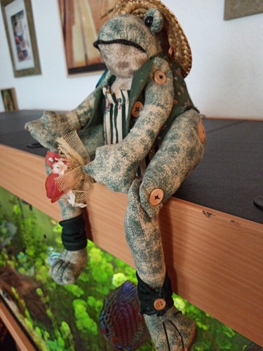 Frosch - Bild 3 von 6
