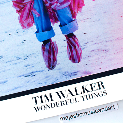 BEAUTIFUL ORIGINAL TIM WALKER 2018 EXHIBITION POSTER | eBay