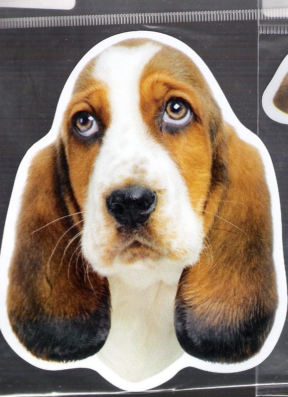 Basset Hound  4 inch face magnet for anything metal