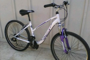schwinn mountain bike 26