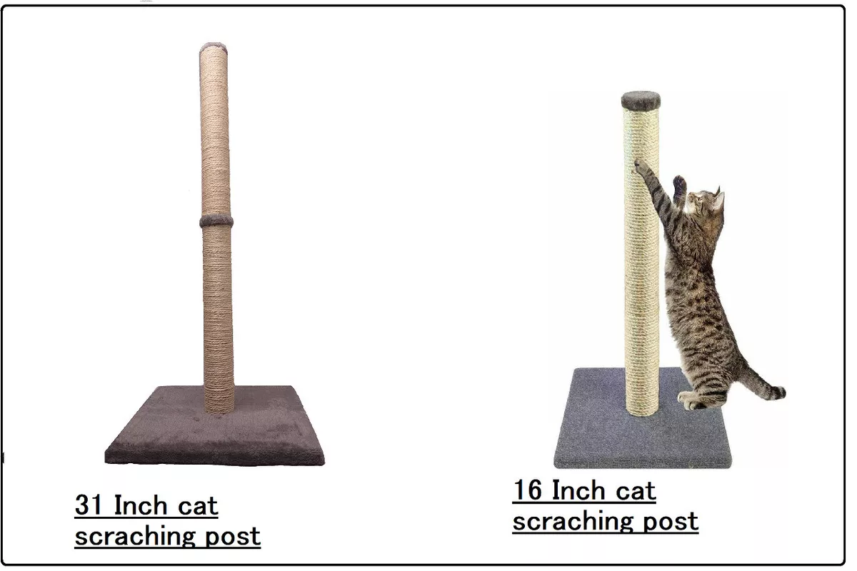 Cat sisal pole cheap
