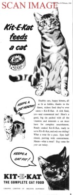 Reklame KIT-E-KAT Katzenkomplettfutter (3) Vintage Original 1953 Druck AD 715L