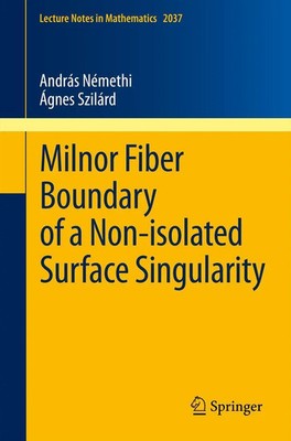 András Némethi (u. a.) | Milnor Fiber Boundary of a Non-isolated Surface...
