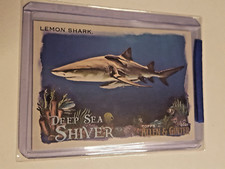 2021 Topps Allen & Ginter LEMON SHARK DSS-7