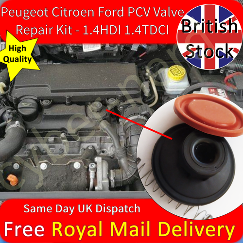 PCV Valve Repair Kit Peugeot 107 206 307 Bipper 1.4 HDI Diesel Posted