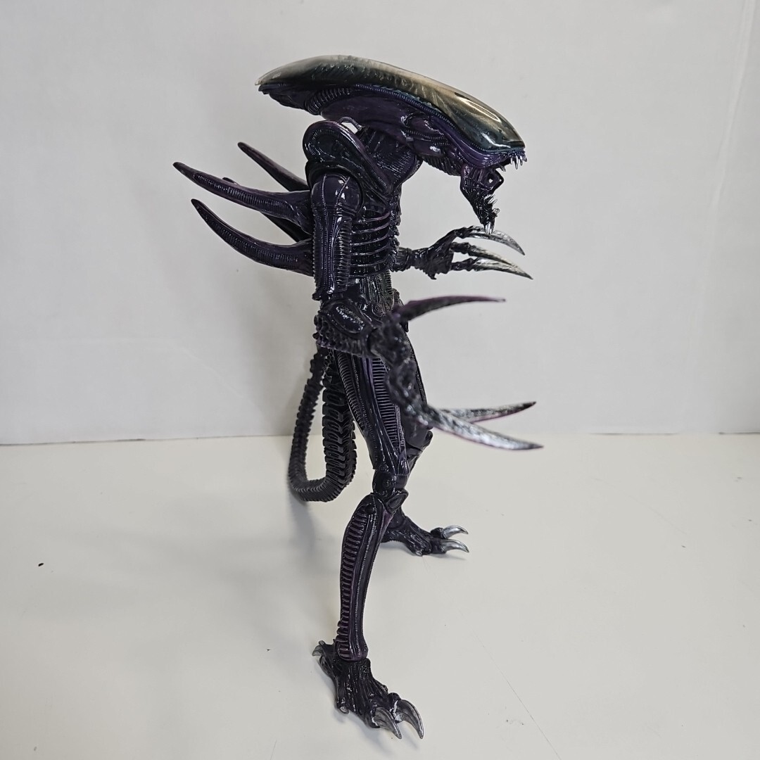 NECA (ACTION FIGURE) ALIEN＆PREDATOR 7インチ Alien vs Predator - 7