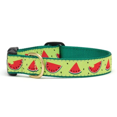 Up Country Dog Collar, One In A Melon,  Adjustable Made In USA XS S M L XL XXL