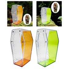 Coffin Shaped Jumping Spider Enclosure Hermit Crab Acrylic Reptile Terrarium
