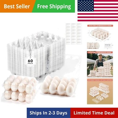 60 Pack Egg Cartons Cheap Bulk 1 Dozen Jumbo Egg Cartons Extra Large Duck Egg...