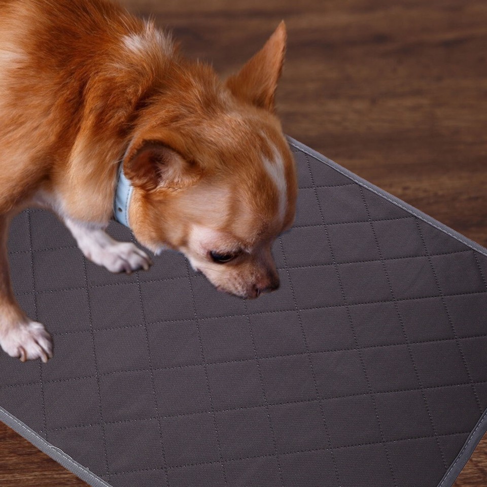 Pet Training Pads Dog Training Pads Animals Pee Pads Dog Urine Pad