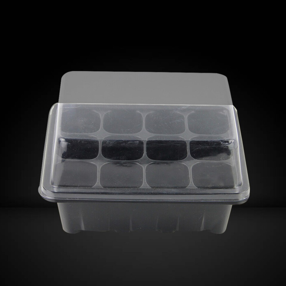 3 Pcs Germination Plant Starter Tray with Lid Appetizer eBay