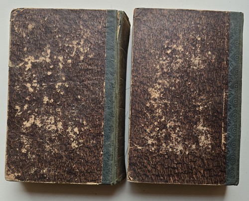 V. Duruy, Fr. Filon, P. Lacroix, Yanoski, Italie ancienne, 1850–1851 - Bild 9 von 9