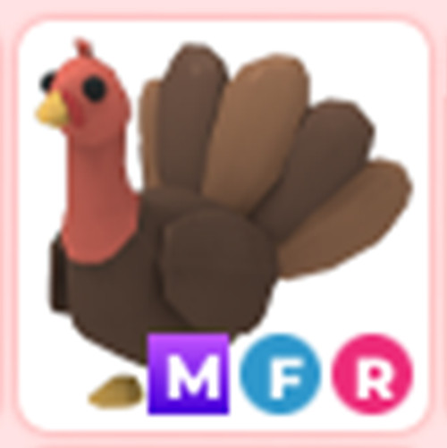 MFR Turkey - Cheap & Trusted Store!!