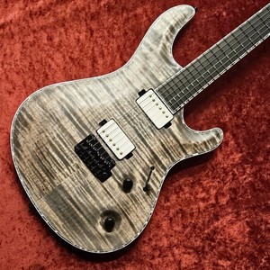 Mayones Regius 6 | eBay