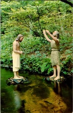 Between Wisconsin Dell And Lake Delton Wisconsin WI : GARDEN SCENE s/18 BB0140