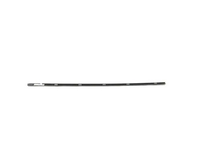 Genuine Mopar Day Light Opening Molding Left 68348685AG
