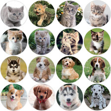 600 Puppy and Kitten Stickers 1.5 Inch 16 Styles for Kids Birthday Party