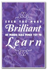 Brilliant - NEW Classroom Motivational Poster
