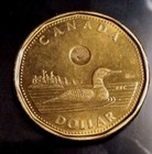 2013 $1 Loon - Canada Dollar Coin Circulated  — photo 2